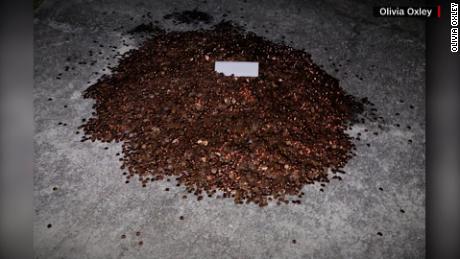 Autoshop owner sued after dumping 500 pounds of pennies on ex-employee&#39;s driveway