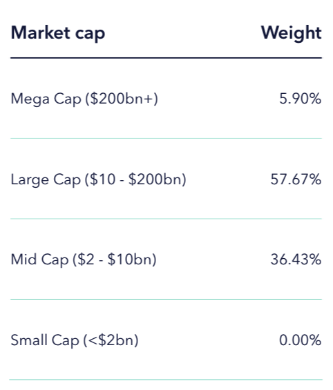 RSHO Market Cap