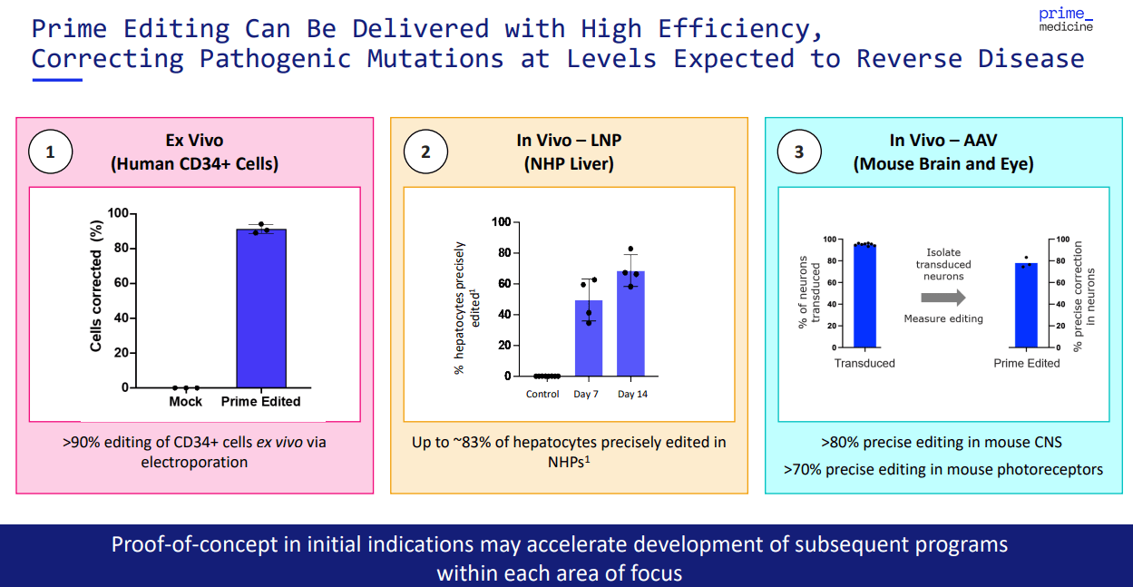 Source: Corporate Presentation. August 2024.