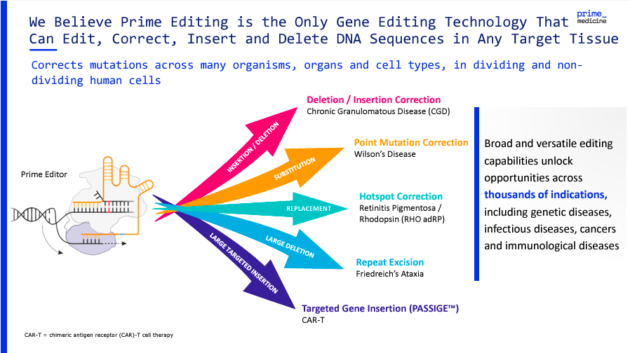 Source: Corporate Presentation. August 2024.